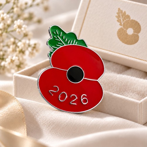2026 enamel pin - 2026,
