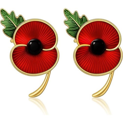 Red flower veteran - veteran, brooch