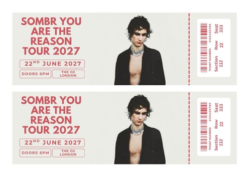 Sombr you are the reason - sombr,