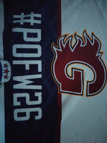 Sport memorabilia flag - memorabilia,