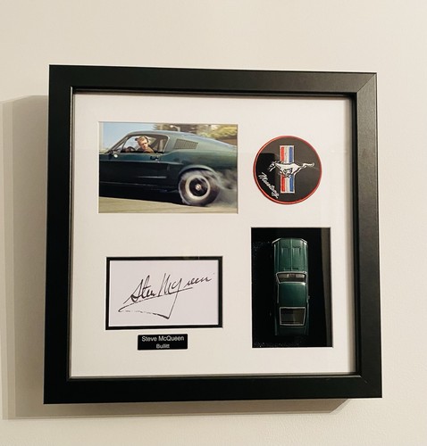 Ford mustang steve - mustang,
