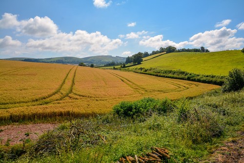 Photo sampford brett - sampford,